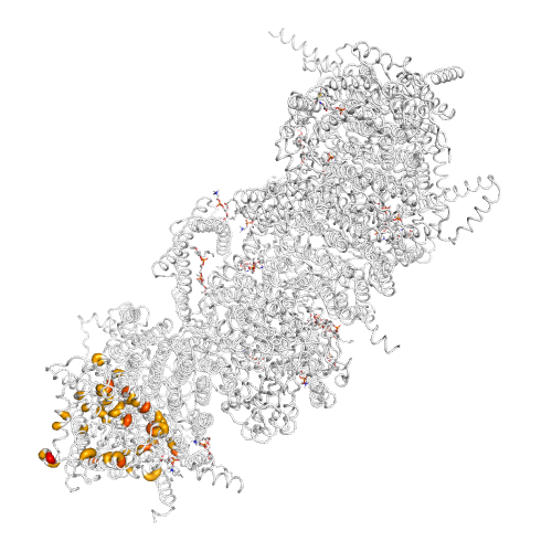 MT-ND1 Gene - Somatic Mutations in Cancer