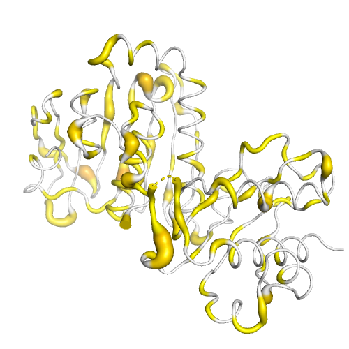 Pms2 Gene Mutation | PMS2 Inherited Mutations (Lynch Syndrome) – PEEQT