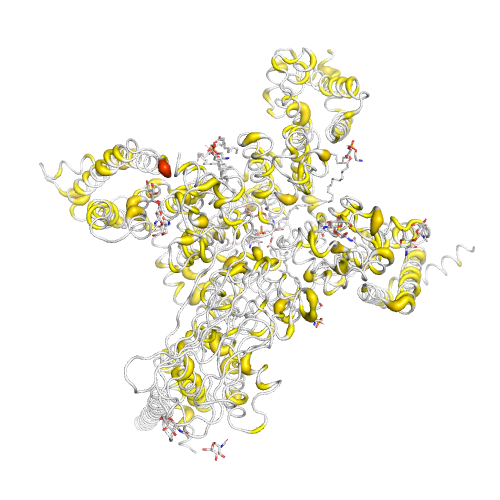 SCN4A Gene - Somatic Mutations in Cancer
